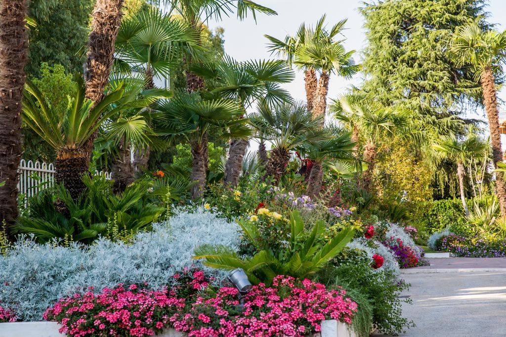 Hotel Ares Pontinia Екстериор снимка